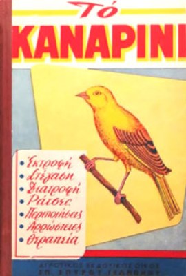 kd-kanarini
