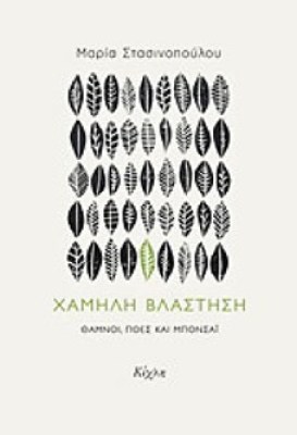 kix-xamili-vlast